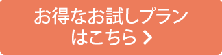 お得なお試しプランはこちら